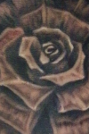 a Rose Dark image 