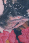 亡き愛犬のタトゥー,The Pet that have died
